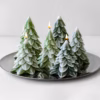Festive Evergreen Tree Decorative Candle